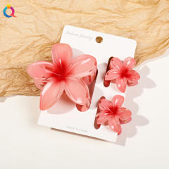Hot-selling Egg Flower Clamp Combination suit Holiday Flower hair claw clips set