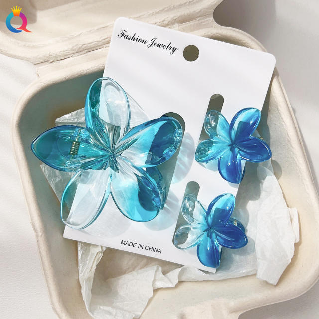Hot-selling Egg Flower Clamp Combination suit Holiday Flower hair claw clips set