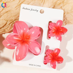 Hot-selling Egg Flower Clamp Combination suit Holiday Flower hair claw clips set