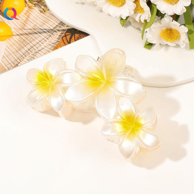 Spring Summer Gradient Flower Grab Clip hot sale hair claw cilps