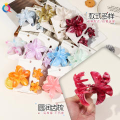 Hot-selling Egg Flower Clamp Combination suit Holiday Flower hair claw clips set