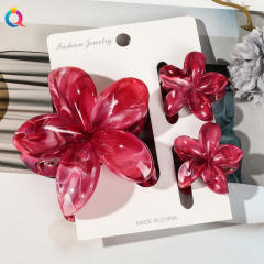 Hot-selling Egg Flower Clamp Combination suit Holiday Flower hair claw clips set