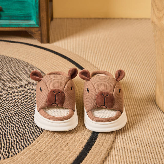 New Cartoon Card Pibalaya Slippers Hot-selling Cartoon Sandals Slippers