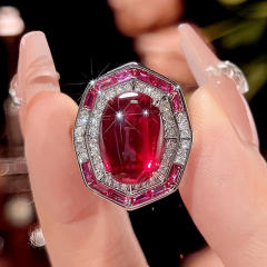 Imitation Red Corundum Retro Light Luxury necklace earrings rings set