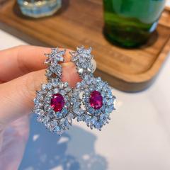Imitation Pigeon Hemoglobin Luxury Inlaid Jewelry Set necklace earrings set