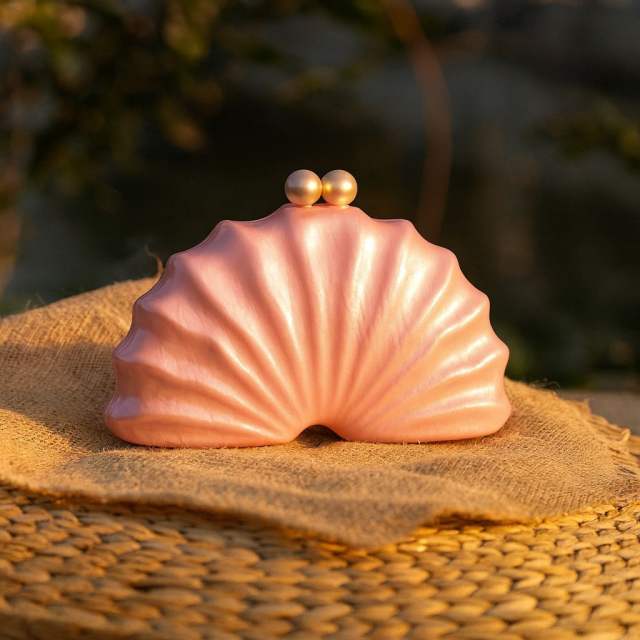 New Shoulder Crossbody Bag Shaped Shell Acrylic Bag Fashion Wedding Dinner Clutch Bag