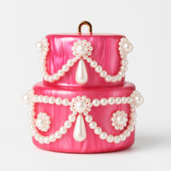 2025 Women's New Shoulder Crossbody Bag Shaped Shell Acrylic Bag Fashion Wedding Dinner Clutch Bag