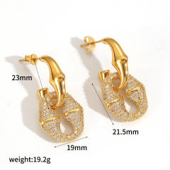 Earrings te60559-g