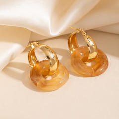 Oversize resin circle stainless steel earrings hoop earrings