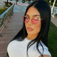 Small Frame Cat Eye Metal Sexy Sunglasses