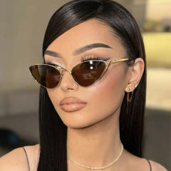 Small Frame Cat Eye Metal Sexy Sunglasses