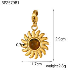 BP2579B1