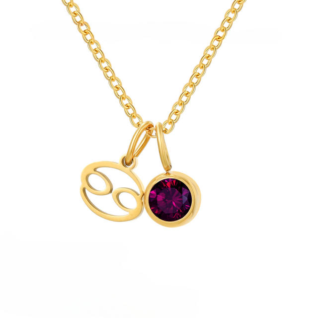 Simple birthstone zodiac double pendant stainless steel necklace dainty necklace