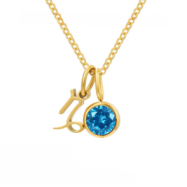 Simple birthstone zodiac double pendant stainless steel necklace dainty necklace