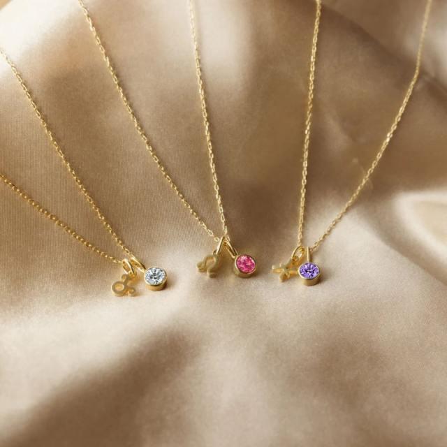 Simple birthstone zodiac double pendant stainless steel necklace dainty necklace