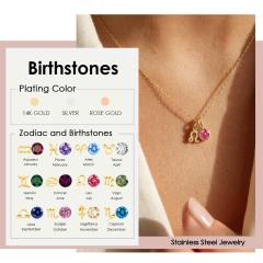 Simple birthstone zodiac double pendant stainless steel necklace dainty necklace