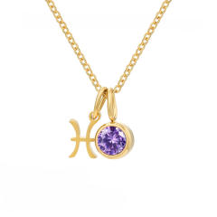 Simple birthstone zodiac double pendant stainless steel necklace dainty necklace