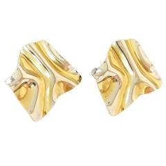 Stainless Steel Irregular Earrings mix color stainless steel earrings