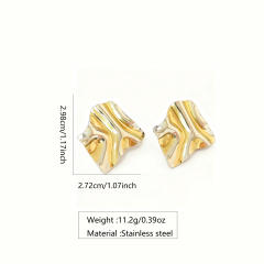 Stainless Steel Irregular Earrings mix color stainless steel earrings