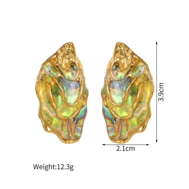 Unique design Abalone stainless steel earrings