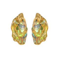Unique design Abalone stainless steel earrings