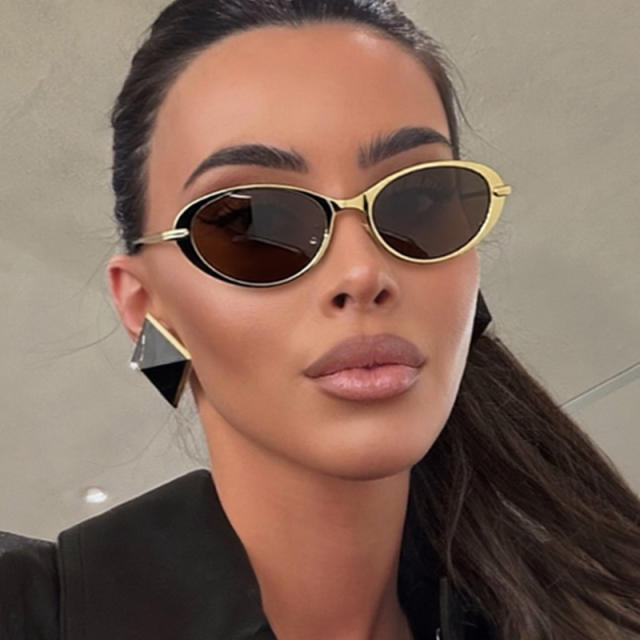 Oval Minimalist Sunglasses 2026 New Style Sunglasses reading glasses