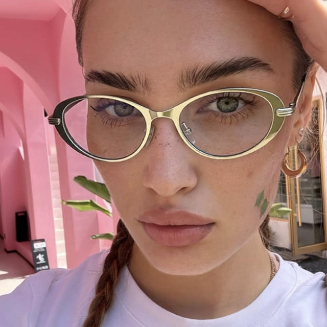 Oval Minimalist Sunglasses 2026 New Style Sunglasses reading glasses