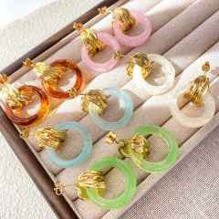 French-Style Vintage Resin Hoop Earrings stainless steel earrings