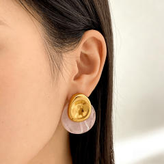 Color Gradient Resin Earrings geometric stainless steel earrings