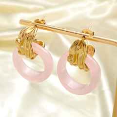 French-Style Vintage Resin Hoop Earrings stainless steel earrings