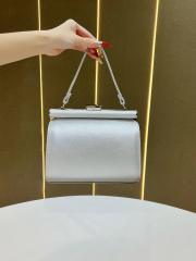 Evening Bags Women's Handbags Crossbody Bags Hand-Held Bags