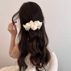 2026 New Style Bubble Mesh Pearl Style banana clips hair clips for women