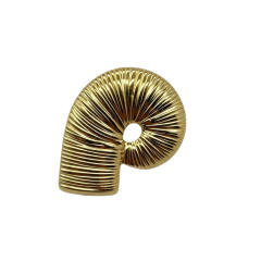Light Luxury 304 Stainless Steel Plasma 18K Nautilus Brooch for Women
