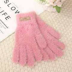 New Double-Layer Thickened Plus Velvet Winter Touch Screen Gloves