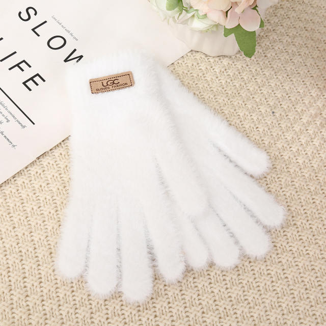 New Double-Layer Thickened Plus Velvet Winter Touch Screen Gloves