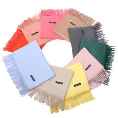 Solid Color Imitation Cashmere Scarf for Women Warm Shawl with Tassels