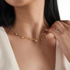 Delicate cubic zircon stainless steel necklace