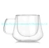 Double wall glass cups