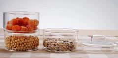 glass candy jars