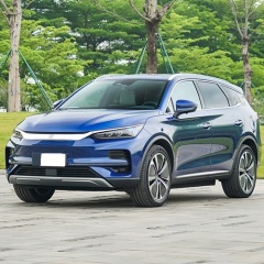 BYD Brand, TANG Model EV SUV