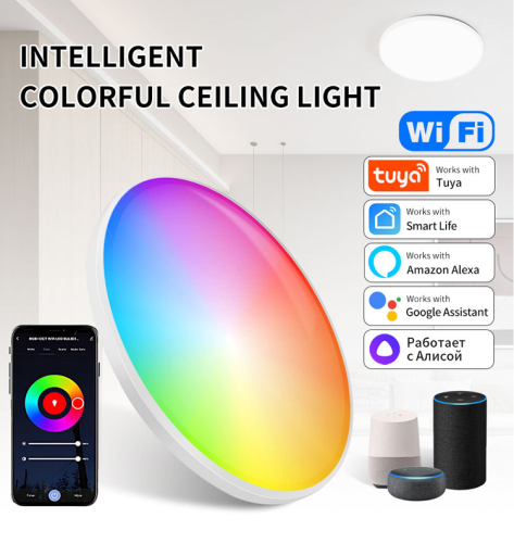 Smart Color Ceiling Light | WiFi &amp; Voice Control with Alexa/Google