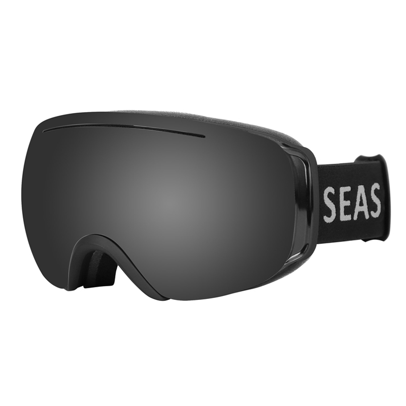 SK-209 Ski goggles