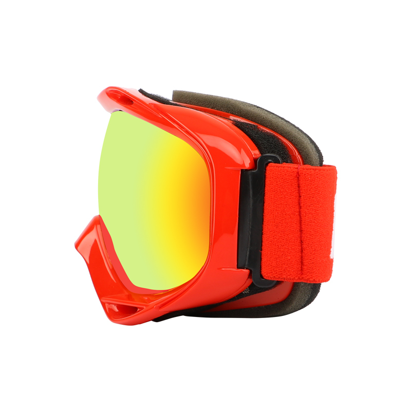 SK-220 Ski goggles
