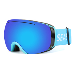 SK-209 Ski goggles