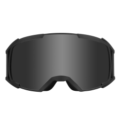 SK-375 Ski goggles