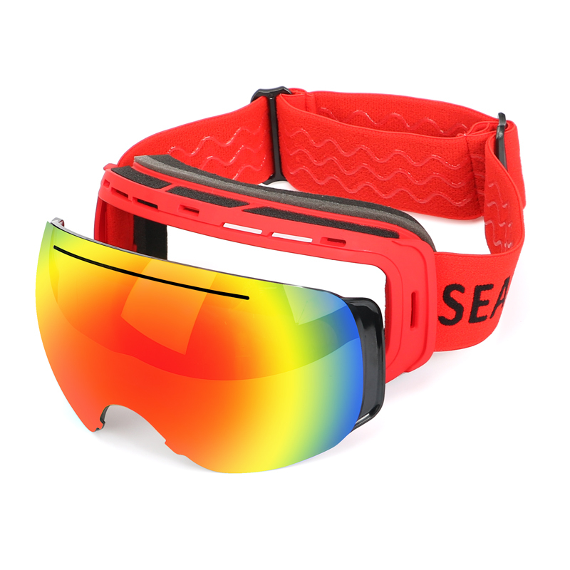 SK-209 Ski goggles