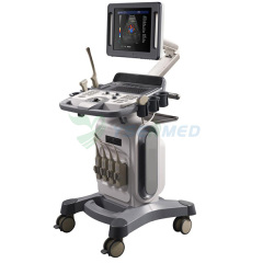 YSB-K100 Hot Sales Trolley Color Doppler 3D 4D Precio de la máquina de ultrasonido