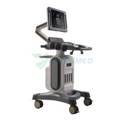 YSB-K100 Hot Sales Trolley Color Doppler 3D 4D Precio de la máquina de ultrasonido