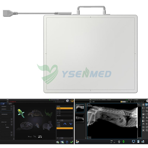 YSENMED Wired & Wireless Portable Flat Panel Detector YSFPD4343Z VET