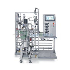 50L Bioreactor / Fermentor YSTE-50SJA